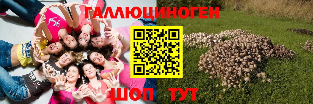 Галлюциногенные грибы мухоморы Якутск